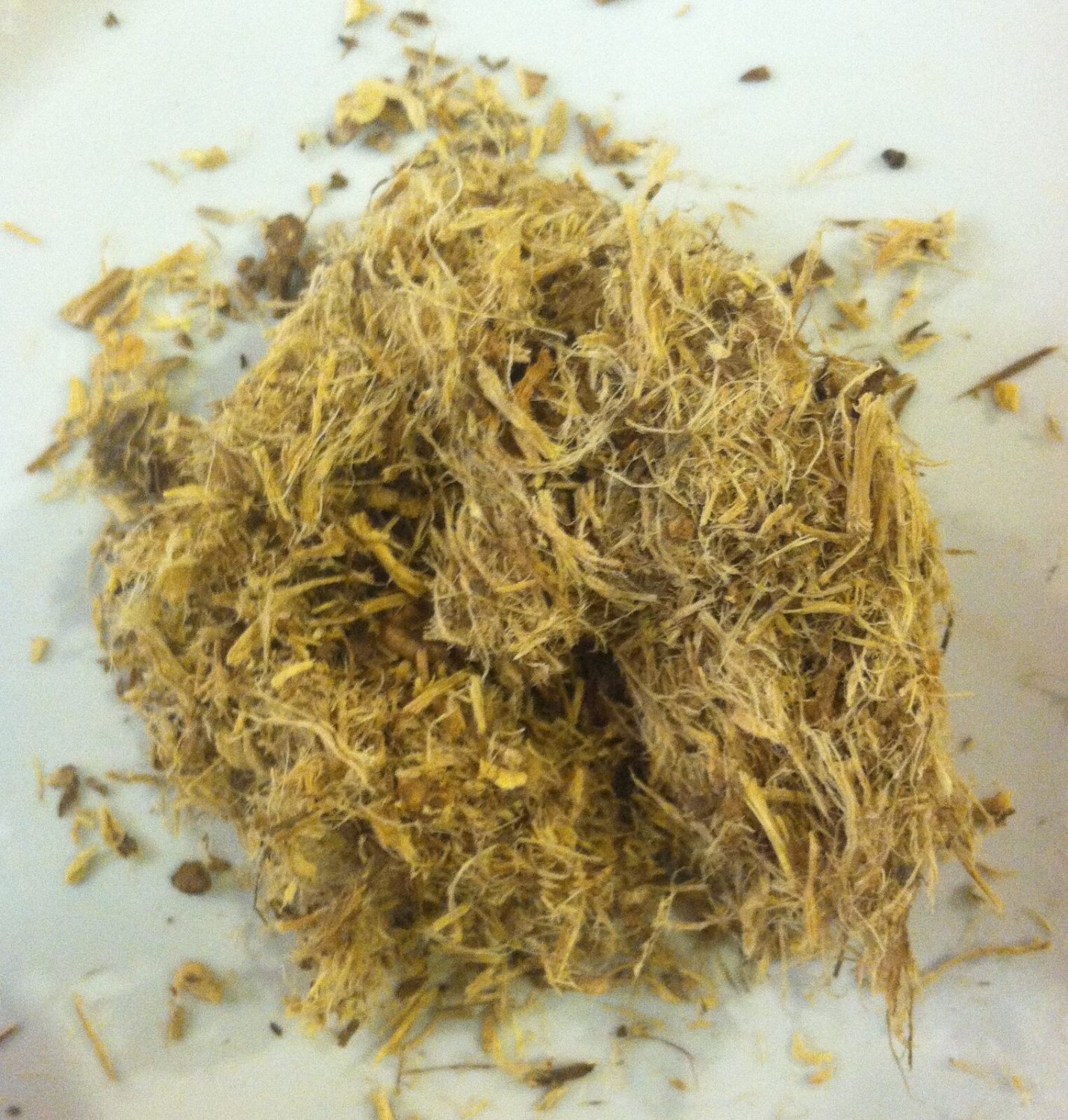 1 oz. Wild Indigo Root (Baptisia tinctoria) Organic & Kosher (USA)