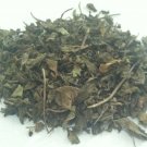 1oz Holy Basil Vana (Ocimum sp) Tulsi Organic & Kosher India