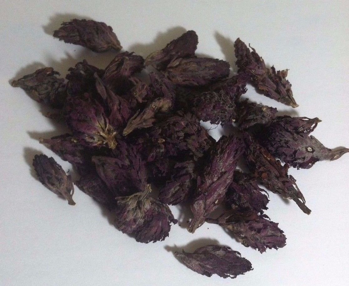 2 Lb. Indian Warrior Flowers (Pedicularis Densiflora) Wildharvested USA