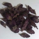 2 Lb. Indian Warrior Flowers (Pedicularis Densiflora) Wildharvested USA