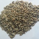 Organic Rye Berries Non-GMO Kosher Raw