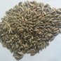Organic Rye Berries Non-GMO Kosher Raw