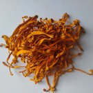 4 oz. Cordyceps Mushrooms (Cordyceps militaris) Organic China