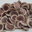 1 oz. Deer Antler Velvet Slices (Cervi Cornu Pantotrichum)