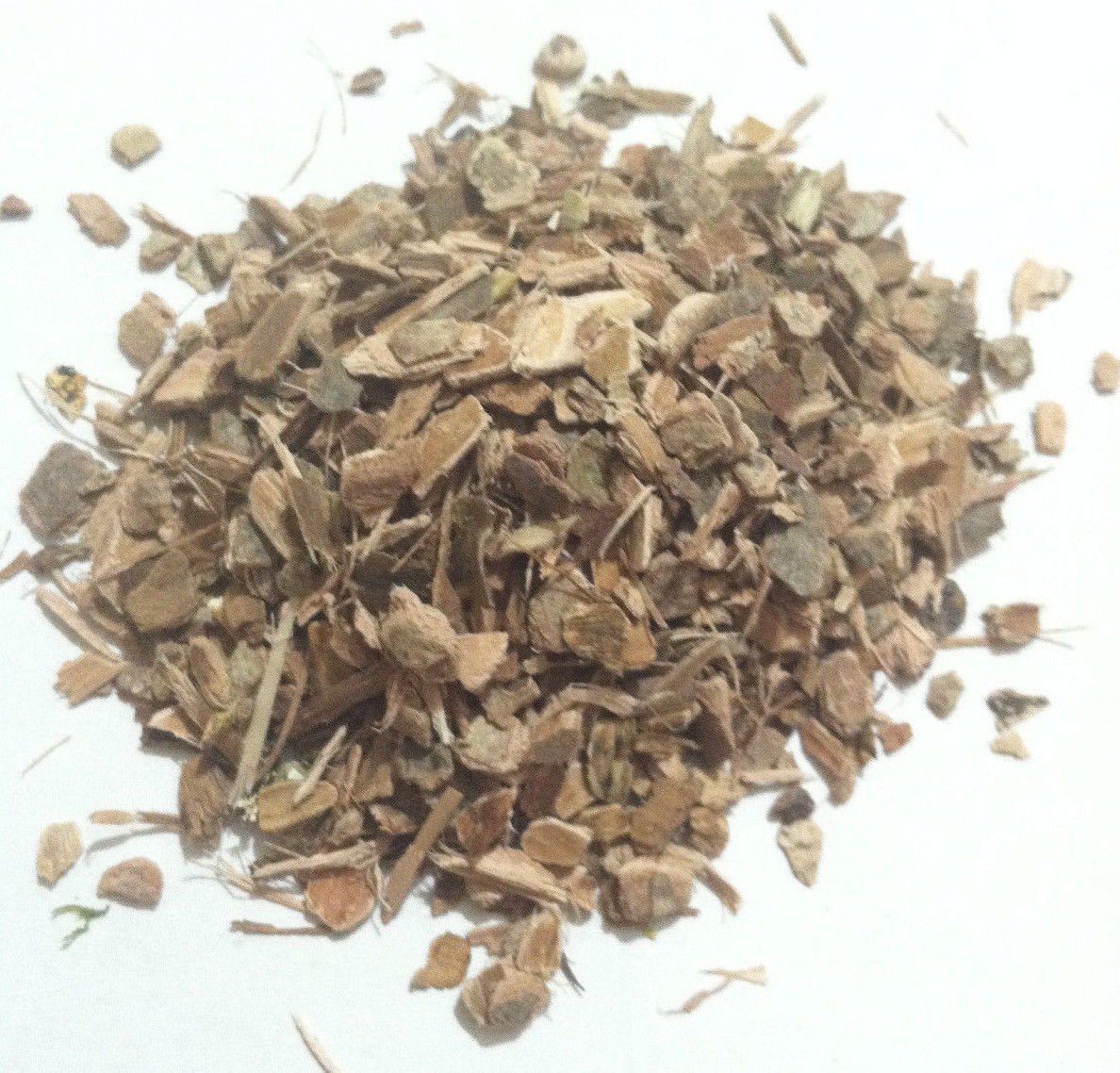 1 oz. Witch Hazel Bark (Hamamelis virginiana) Wildcrafted USA