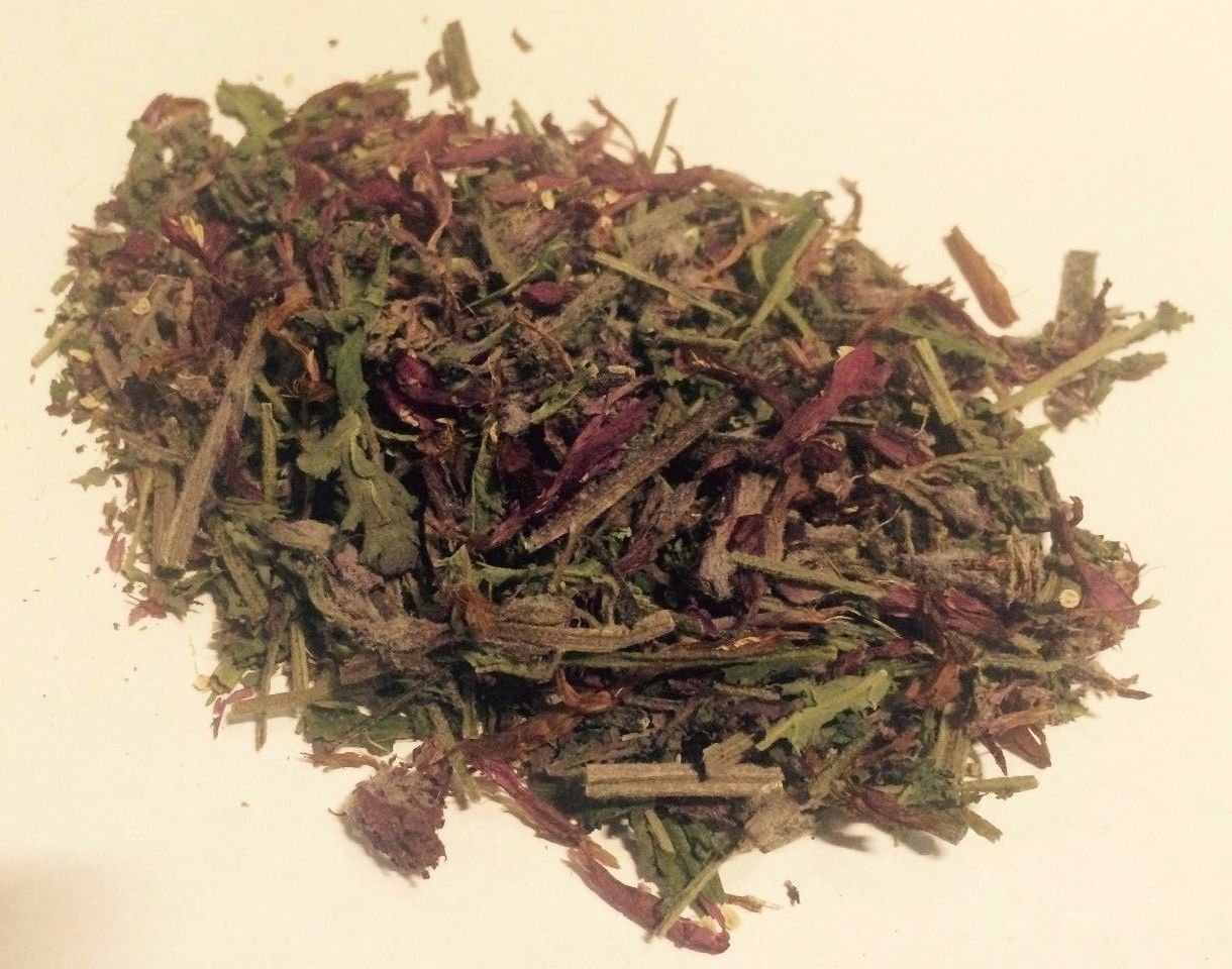 1 Lb. (16 oz.) Indian Warrior Herb (Pedicularis Densiflora) Wildharvested USA