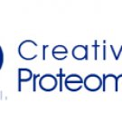 Peptide Mass Fingerprinting (PMF)