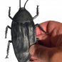 6" JUMBO COCKROACH Giant Bug Rubber Fake Prank Joke Gag Funny Roach