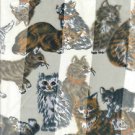 Cream with Orange & Grey Tabby Cat Scarf