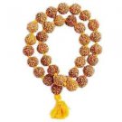 5 Mukhi Lord Shiva Rudraksha Kantha Mala Brown 5 Mukhi Lord Shiva Rudraksha Kantha Mala Brown
