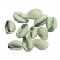 Parad Filled Cowry Set Of 5 by Vedic Vaani