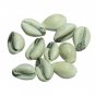 Parad Filled Cowry Set Of 5 by Vedic Vaani
