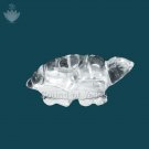 Crystal Tortoise