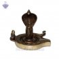 Nageshwar Shivlingam