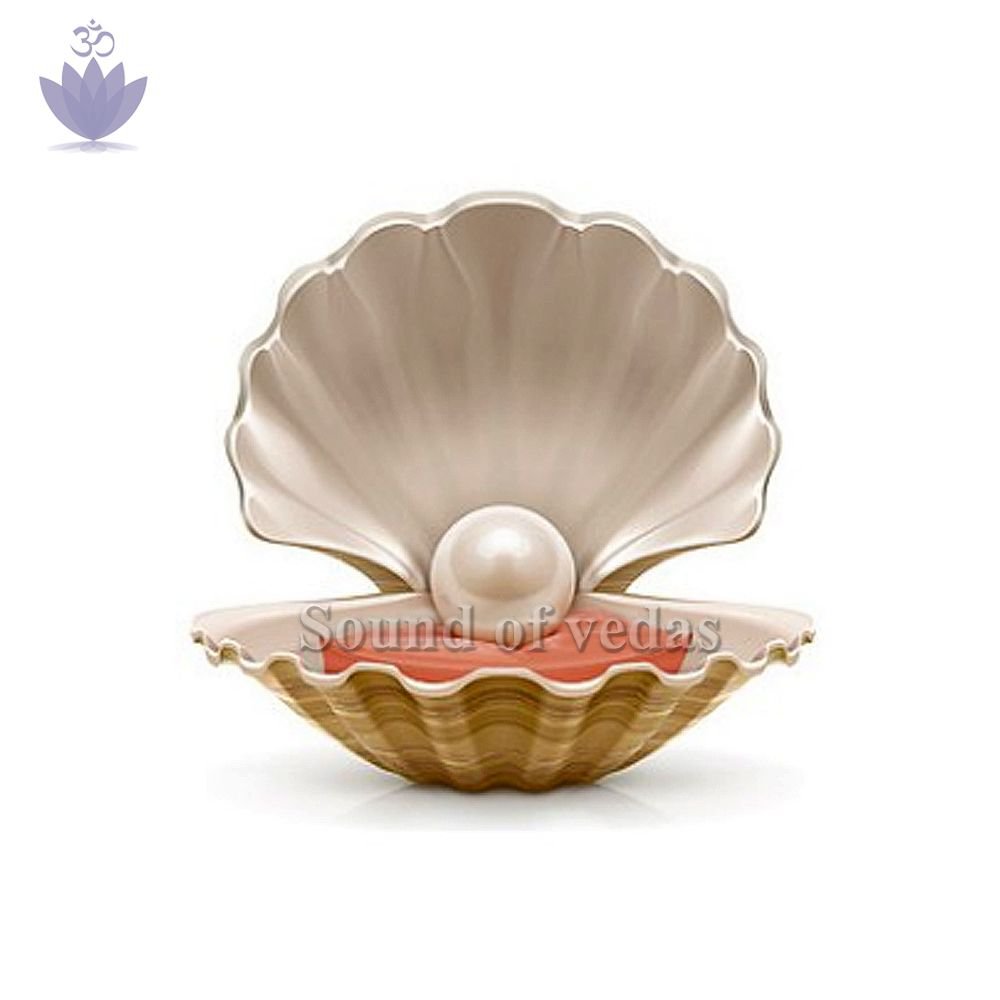 South Sea Pearl - 5-6 carats