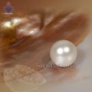 South Sea Pearl - 9-11 carats