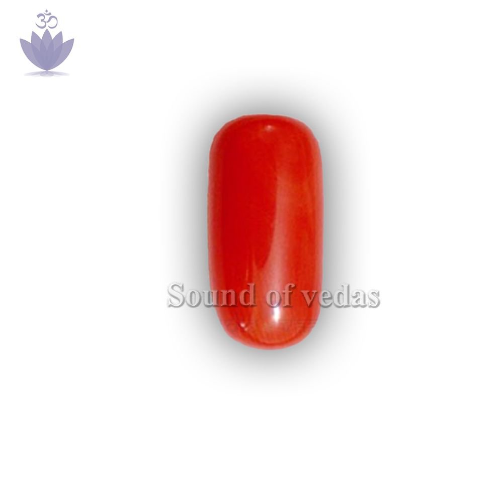 Italian Red Moonga