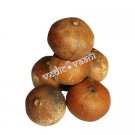 Natural Dry Beal Bel Fruits (Set of 5) Natural Dry Beal Bel Fruits (Set of 5)