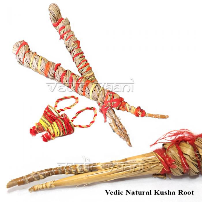 Set of Kusha Grass Ring and Purification aid Online Store in USA/UK/Europe