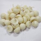 Scented Wax Diyas Online Store in USA/UK/Europe Scented Wax Diyas Online Store in USA/UK/Europe