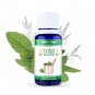 Tulsi Tirth Ark Jal Buy Online in USA/UK/Europe