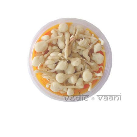Oiled cotton wicks Online Store in USA/UK/Europe