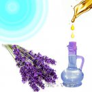 Lavender Oil Buy Online in USA/UK/Europe Lavender Oil Buy Online in USA/UK/Europe