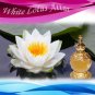 White Lotus Attar Buy Online in USA/UK/Europe