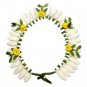 Fancy Veni Buy Online in USA/UK/Europe