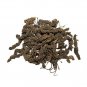 Tagar Buy Online in USA/UK/Europe