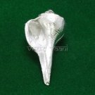 Right Hand Shankh in Parad Buy Online in USA/UK/Europe Right Hand Shankh in Parad Buy Online in USA/UK/Europe