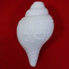 Religious Natural Puja Blowing Shankh Buy Online in USA/UK/Europe