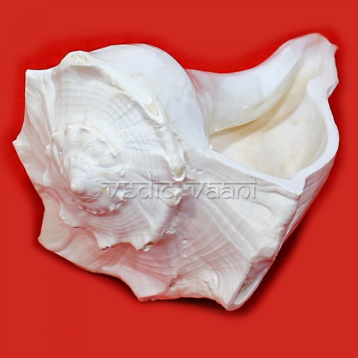 Right Hand Abhishek Shankh Buy Online in USA/UK/Europe