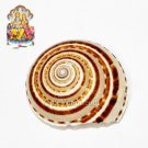 Vishnu Sudarshan Chakra Shankh  Buy Online in USA/UK/Europe