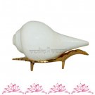 Shankh With Brass Stand Buy Online in USA/UK/Europe Shankh With Brass Stand Buy Online in USA/UK/Europe