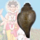 Lord Dattatreya Inscribed on Shankh in Brass Buy Online in USA/UK/Europe Lord Dattatreya Inscribed on Shankh in Brass Buy Online in USA/UK/Europe