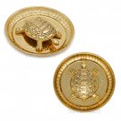 Feng Shui Vastu Tortoise Plate in Brass Buy Online in USA/UK/Europe Feng Shui Vastu Tortoise Plate in Brass Buy Online in USA/UK/Europe