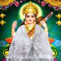 Saraswati Chunri Buy Online in USA/UK/Europe