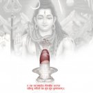 Narmadeshwar Shivlingam with Pure Silver Yonibase for Abhishek Buy Online in USA/UK/Europe Narmadeshwar Shivlingam with Pure Silver Yonibase for Abhishek Buy Online in USA/UK/Europe