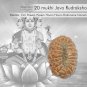 20 mukhi Java Rudraksha  Buy Online in USA/UK/Europe