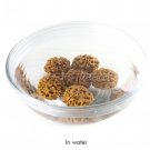 Rudraksha Water Beads Online Store in USA/UK/Europe Rudraksha Water Beads Online Store in USA/UK/Europe