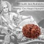 10 Mukhi Java Rudraksha Online Store in USA/UK/Europe