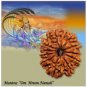 10 Mukhi Nepal Rudraksha https://www.vedicvaani.com/10-mukhi-nepal-rudraksha