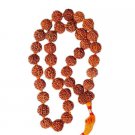 6 mukhi Rudraksha Kantha Mala Buy Online in USA/UK/Europe 6 mukhi Rudraksha Kantha Mala Buy Online in USA/UK/Europe