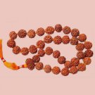7 mukhi Rudraksha Kantha Mala Buy Online in USA/UK/Europe 7 mukhi Rudraksha Kantha Mala Buy Online in USA/UK/Europe