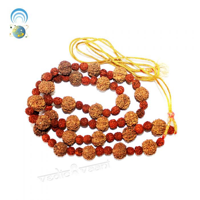 Rudraksha Kantha Mala Buy Online in USA/UK/Europe