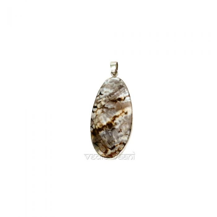 Jasper Agate Gemstone Pendant / Locket Buy Online in USA/UK/Europe