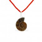 Ammonite Shell Pendant Buy Online in USA/UK/Europe