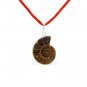 Ammonite Shell Pendant Buy Online in USA/UK/Europe