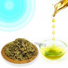 Fennel Sweet Oil Buy Online in USA/UK/Europe Fennel Sweet Oil Buy Online in USA/UK/Europe